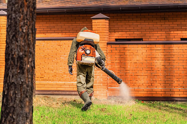 Bed Bug Clearance Verification and Documentation in Pelican Rapids